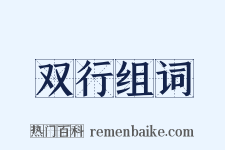 双行组词是什么意思的图片